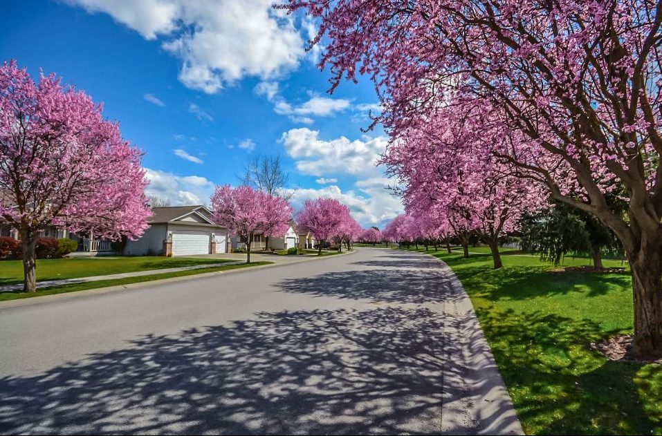 neighborhood-2486077