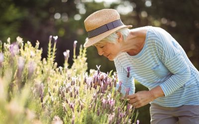 Stamp Duty Concession For Seniors a No Brainer